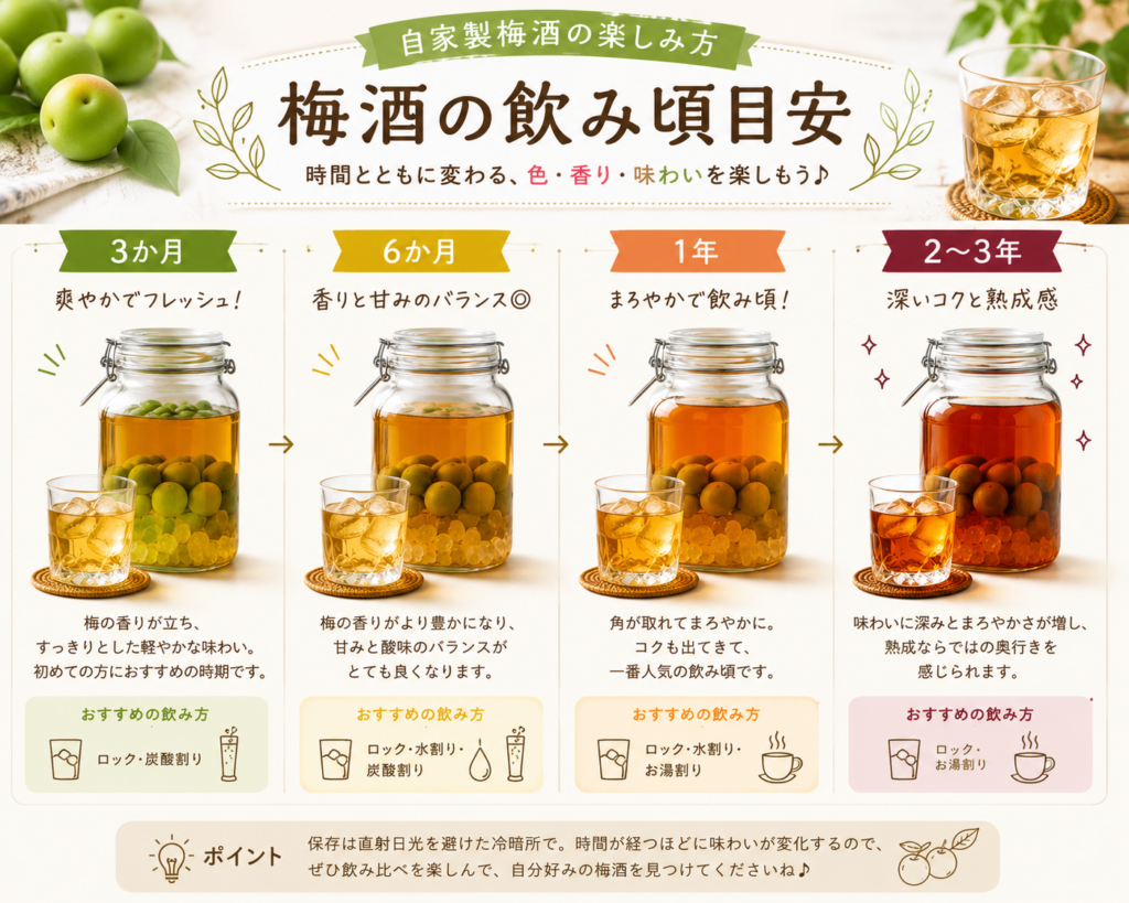 梅酒の飲み頃比較