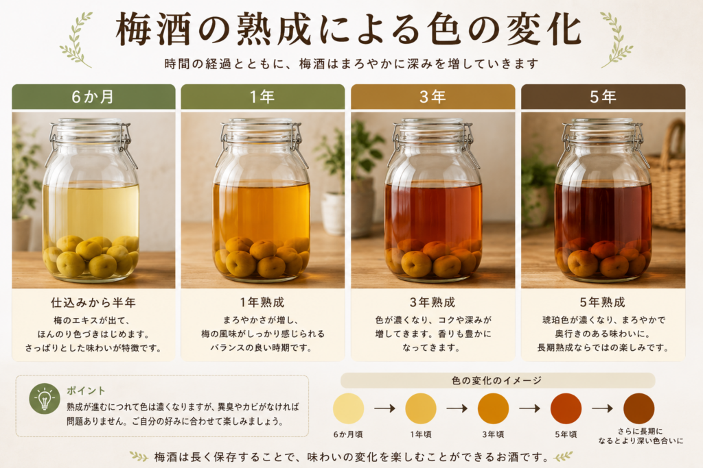 梅酒の熟成による色の変化