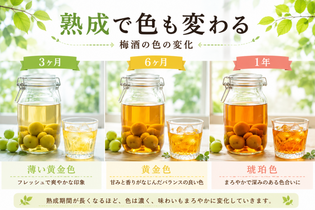 熟成で色も変わる、梅酒の色の変化