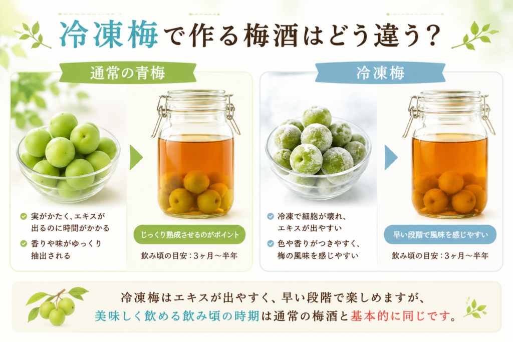冷凍梅で作る梅酒はどう違う？
