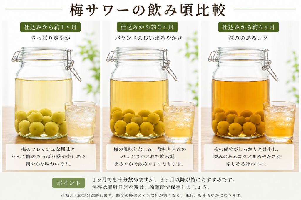 梅サワーの飲み頃