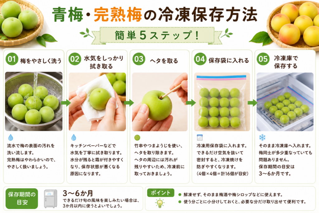 青梅・完熟梅の冷凍保存方法簡単5ステップ
