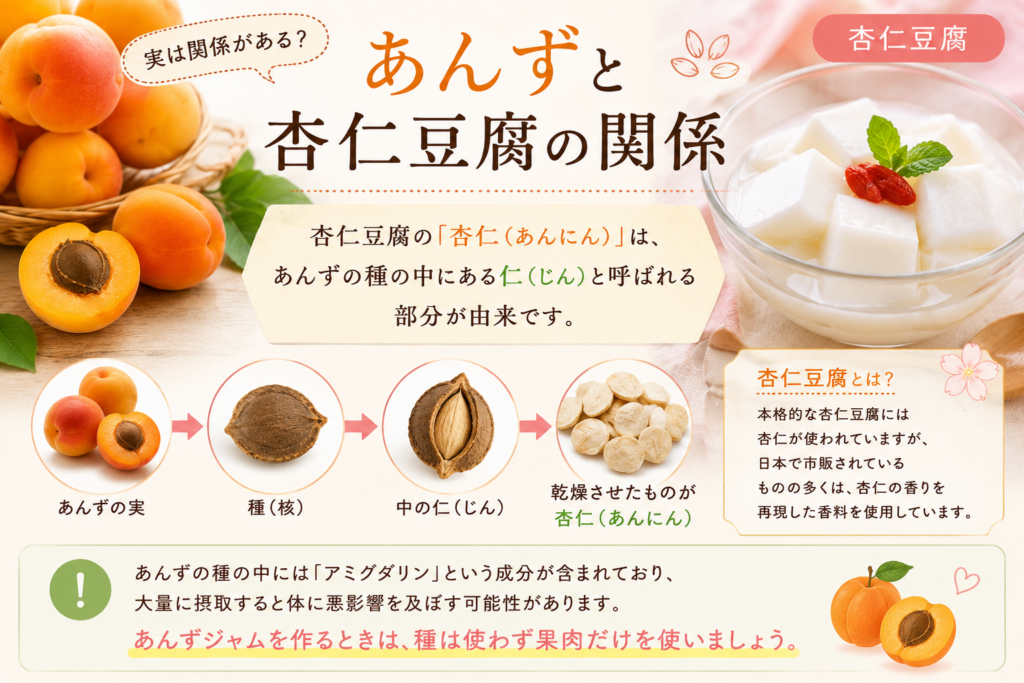 あんずと杏仁豆腐の関係