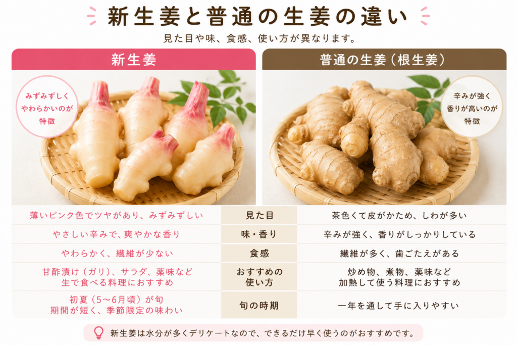 新生姜と普通の生姜との違い