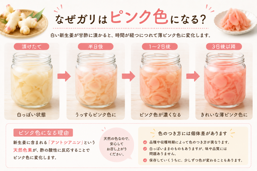 なぜガリはピンク色になる?