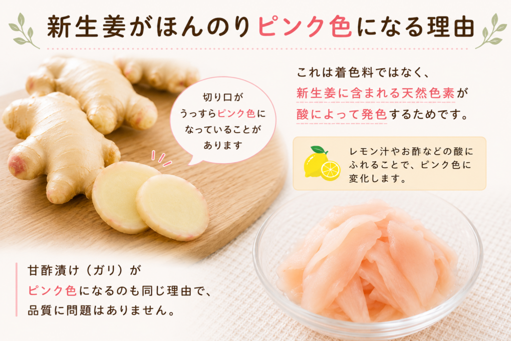 新生姜がほんのりピンク色になる理由