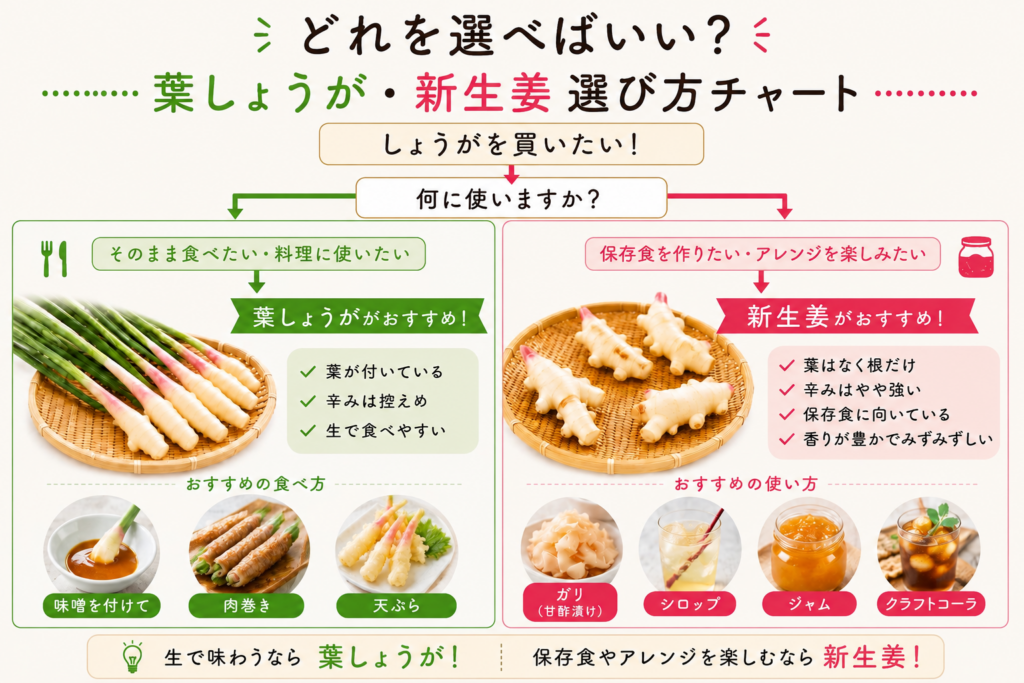 葉しょうが・新生姜選び方チャート