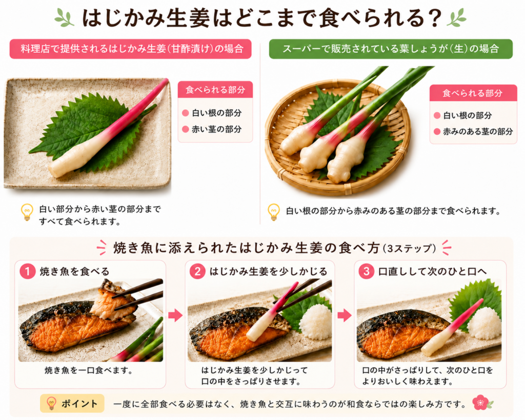 はじかみ生姜はどこまで食べられる?