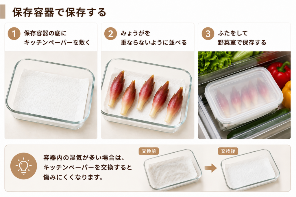 みょうがを保存容器で保存する方法